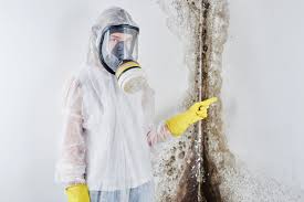 Mold Removal for HVAC Installations in Donaldsonville, LA